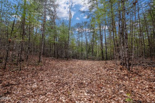 Lot 14 Paint Horse Way, Sevierville, TN, 37876 | Card Image