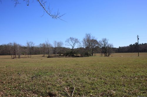 TBD Lot 3 Highway 958, Slaughter, LA, 70777 | Card Image