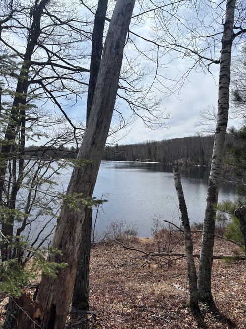 OFF Cth S, Land O Lakes, WI, 54540 | Card Image