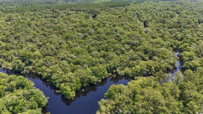 Aerial view of a forest and a nearby body of water | Image 32