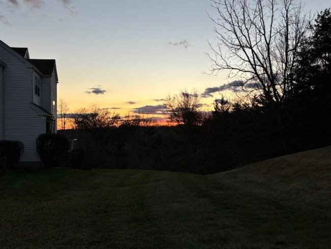 View of yard at dusk | Image 4