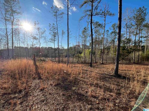 1-50864 Highway 22, WADLEY, AL, 36276-3412 | Card Image