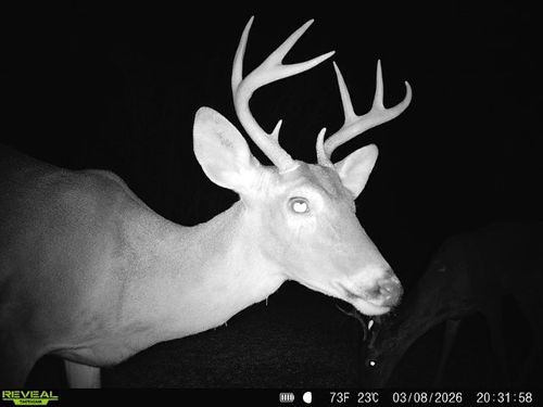 0 County Road 103, San Diego, TX, 78384 | Card Image