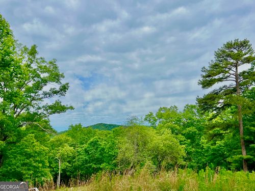 788 Beavers Dr, MORGANTON, GA, 30560-2570 | Card Image