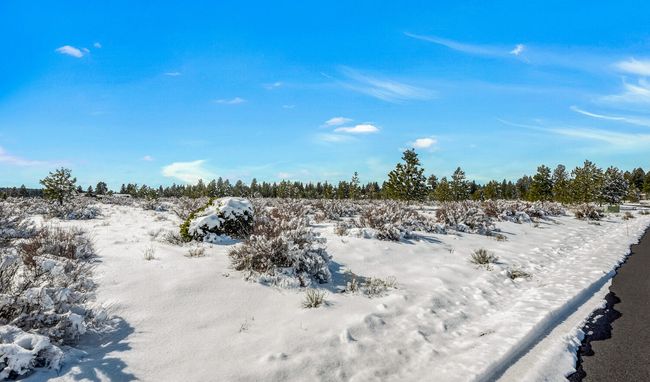 OReilly_20240306_11_288060_72ppi | Image 13