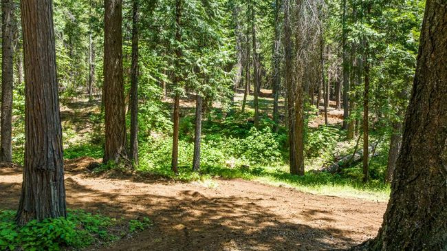 4589 Jenkinson Circle, House other with 3 bedrooms, 3 bathrooms and null parking in Pollock Pines CA | Image 32