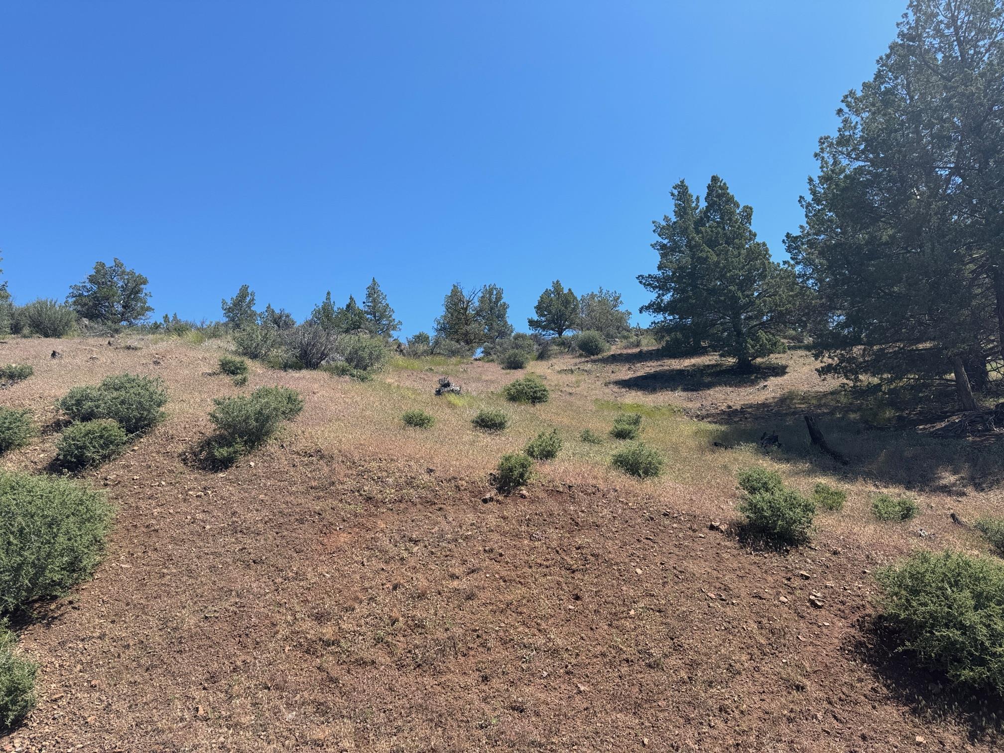 Land in Montague