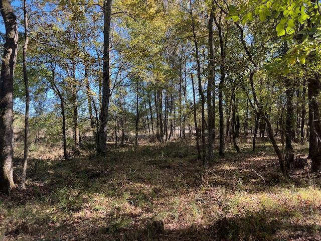 Land in Broken Bow 5