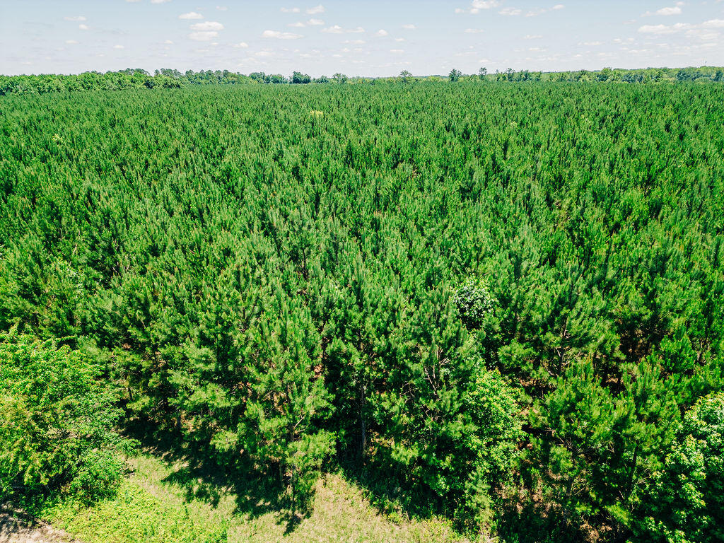 Land in Islandton 4