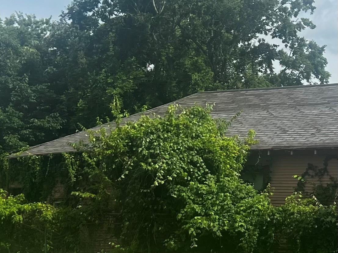 Residential in Houston 5