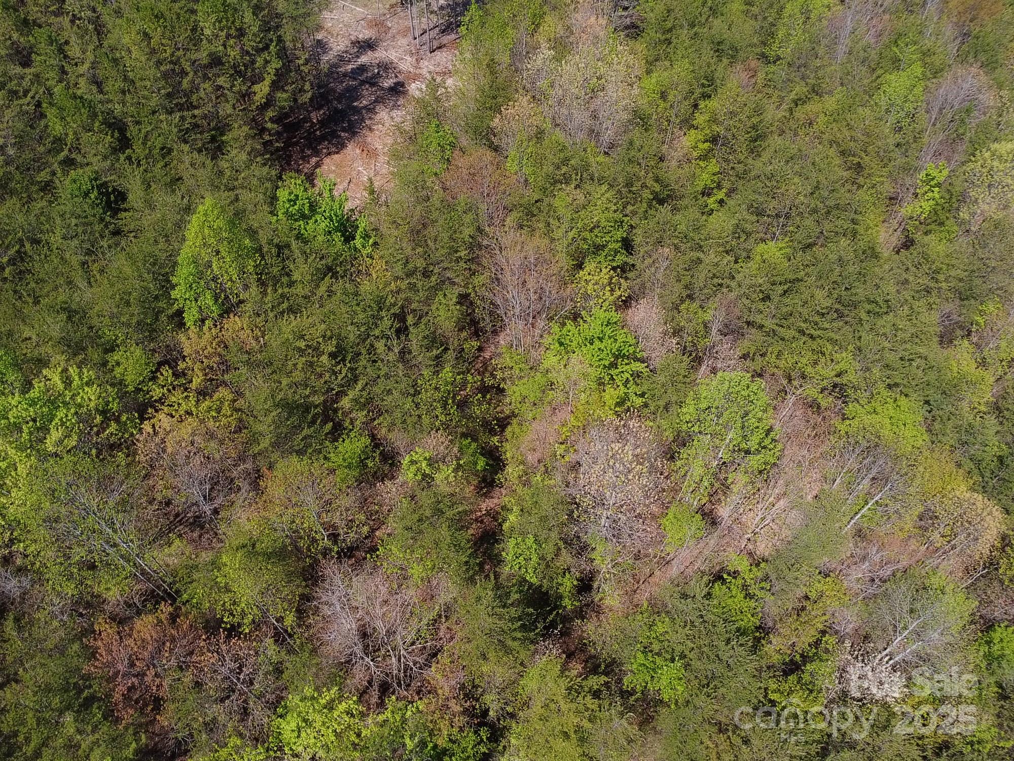 Land in Morganton 2