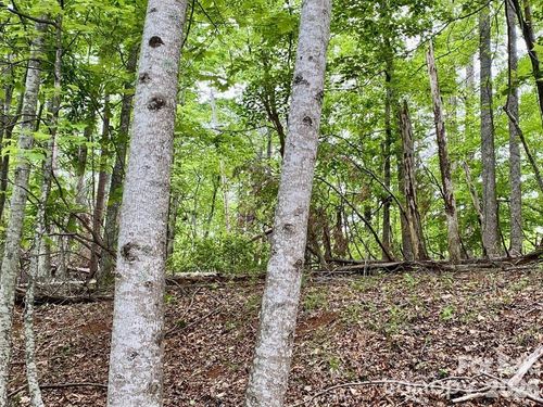 Lot 30 Granny Smith Ln, Lake Lure, NC, 28746-9348 | Card Image