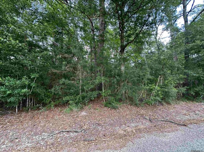 23540 Heritage Acres Ln, Home with 0 bedrooms, 0 bathrooms and null parking in Robert LA | Image 12