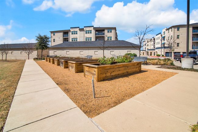 Community garden | Image 29