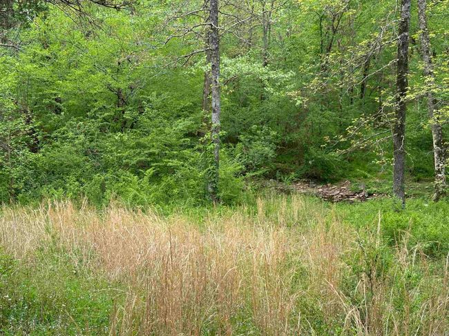 4090 Sunny Slope Rd, Home with 0 bedrooms, 0 bathrooms and null parking in Edgemont AR | Image 13