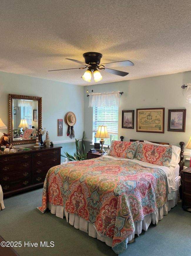 111 Spring Branch Dr, House other with 3 bedrooms, 2 bathrooms and 1 parking in Harrells NC | Image 31