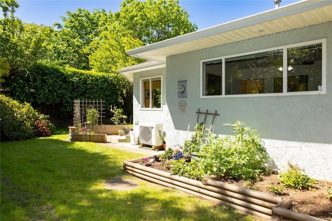 Small garden is the responsibility of the owner | Image 32