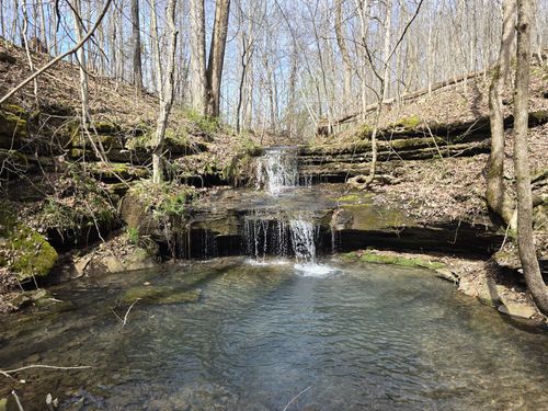 1125 Rose Hill Rd, Pulaski, TN, 38478-5315 | Card Image