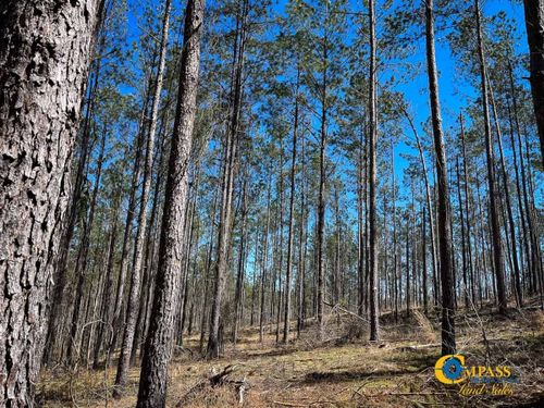 0 Tull Rd, Hornsby, TN, 38044 | Card Image