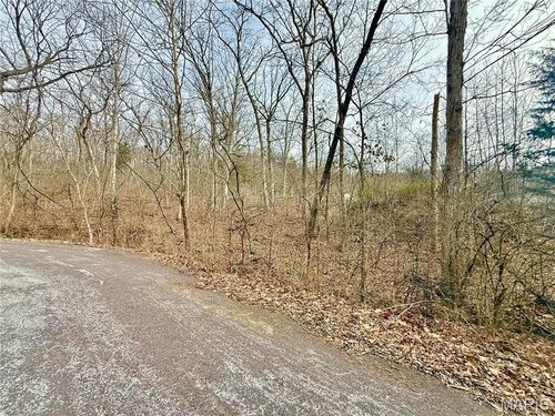 168 Cherokee Ct, Pacific, MO, 63069-5927 | Card Image