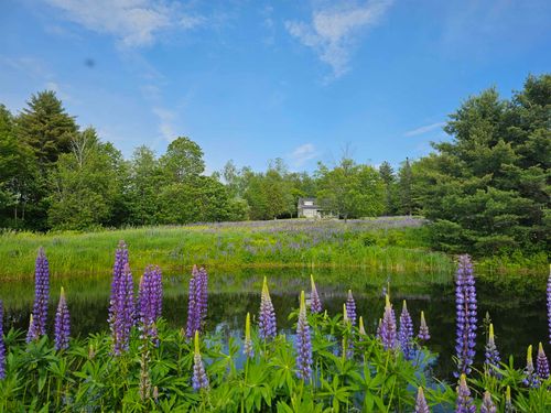 171 Pollard Rd, Grafton, VT, 05146 | Card Image