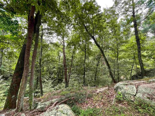 0 Pine Shadow Ln, Landrum, SC, 29356 | Card Image