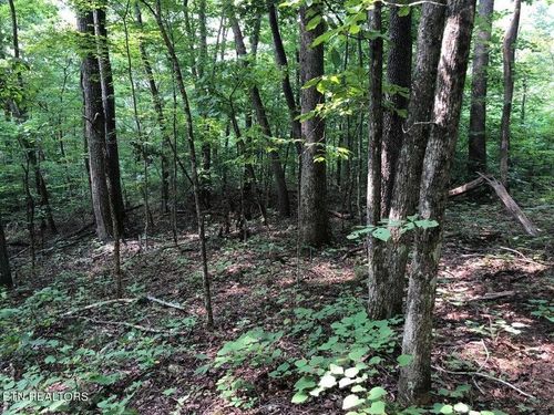 TBD Jackson Hollow Rd, Thorn Hill, TN, 37881 | Card Image
