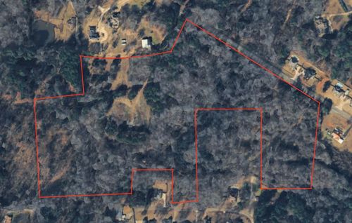 pine-tree-andamp-george-ri-TBD 1845, Longview, TX, 75604 | Card Image