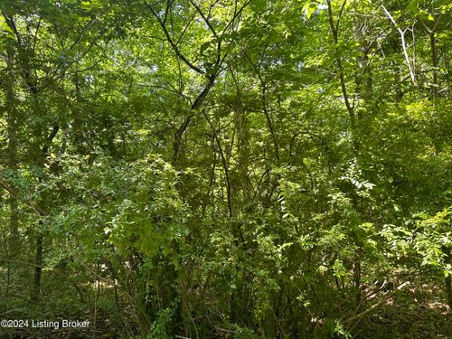 25926026 Sycamore Dr, New Haven, KY, 40051 | Card Image