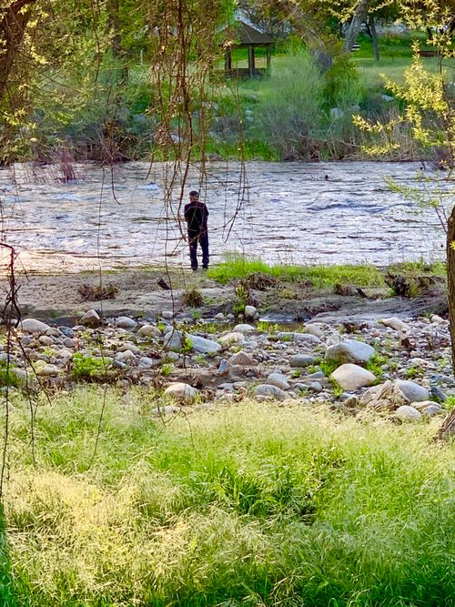 41811 Sierra Dr, Three Rivers, CA, 93271-9795 | Card Image