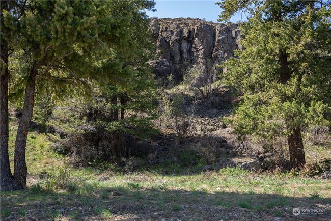 0 Lot 4 Isabella Ln, Home with 0 bedrooms, 0 bathrooms and null parking in Twisp WA | Image 13
