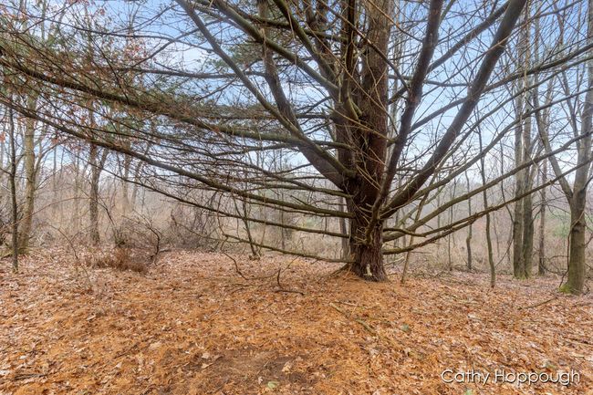 PARCEL-1 - V/L W Snows Lake Road, Home with 0 bedrooms, 0 bathrooms and null parking in Fenwick MI | Image 16