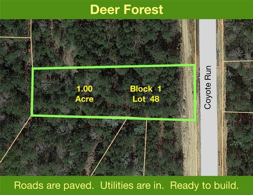 68 Coyote Run, New Waverly, TX, 77358 | Card Image