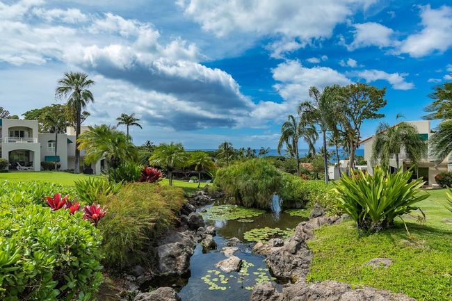 The serene stream is dotted with lily pads & flowers & bordered by rocky banks & tropical plants | Image 40
