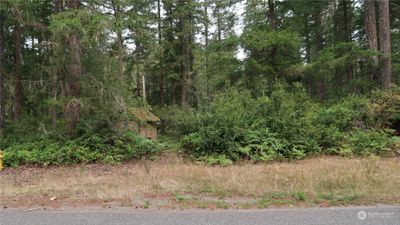 Looking into the property you can see the shed and lots of trees | Image 3