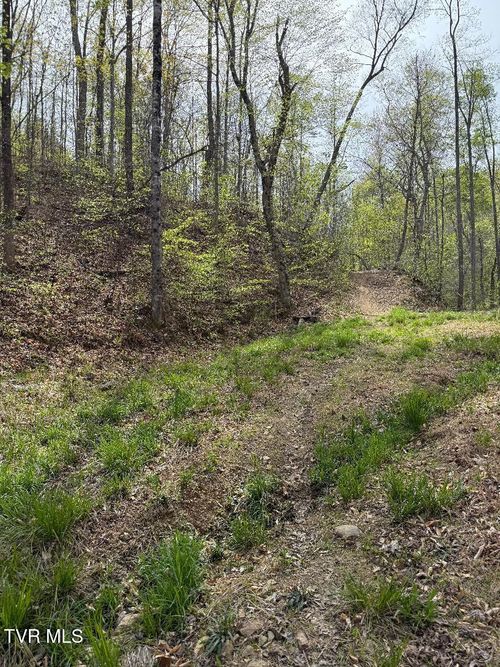 0 Pine Mountain Rd, Rogersville, TN, 37857 | Card Image