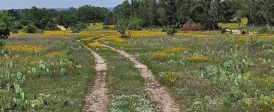 Land in Mason