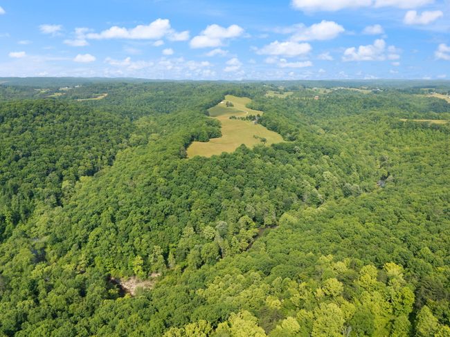 225 Hilltop Rd, Home with 3 bedrooms, 3 bathrooms and null parking in East Bernstadt KY | Image 90