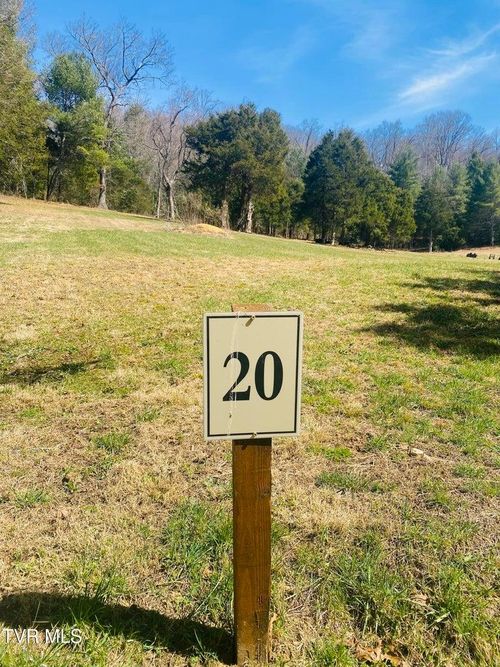 lot 20 Vineyard Valley Drive, Butler, TN, 37640 | Card Image