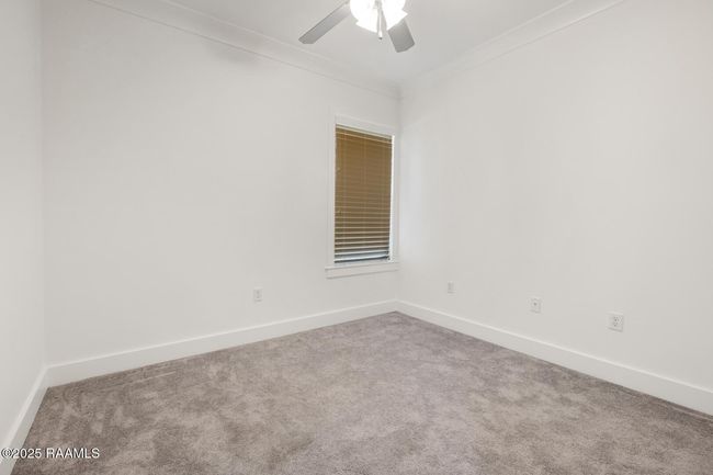116 Guant-24 | Image 24