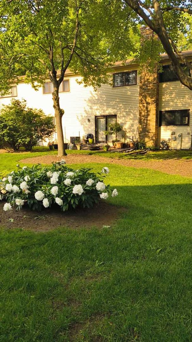 1316 S Quail Walk, Townhouse with 3 bedrooms, 2 bathrooms and 1 parking in Mount Prospect IL | Image 12
