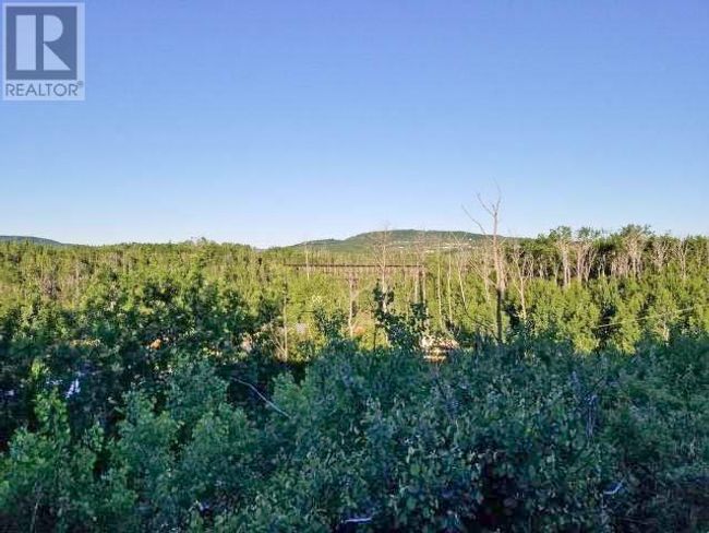 4811 Bissette Dr, House other with 3 bedrooms, 2 bathrooms and 1 parking in Pouce Coupe BC | Image 15