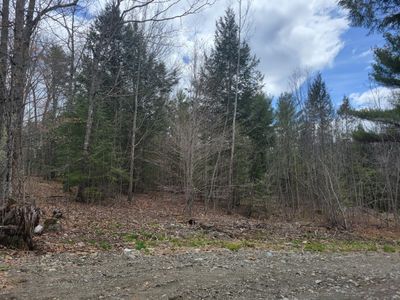 Lots 1&2 North Road, Home with 0 bedrooms, 0 bathrooms and null parking in Mount Vernon ME | Image 2