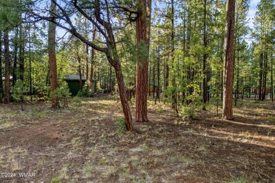 6938PalominoDr-Pinetop-AZ-3 | Image 3