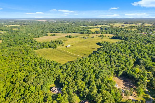 0 Happy Hills Acre Rd, Home with 0 bedrooms, 0 bathrooms and null parking in Woodlawn TN | Image 7