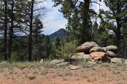93 Kiowa Creek Trail, Florissant, CO, 80816 | Card Image