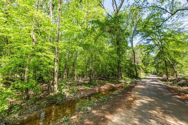 1 County Rd, Home with 0 bedrooms, 0 bathrooms and null parking in Leesburg TX | Image 11