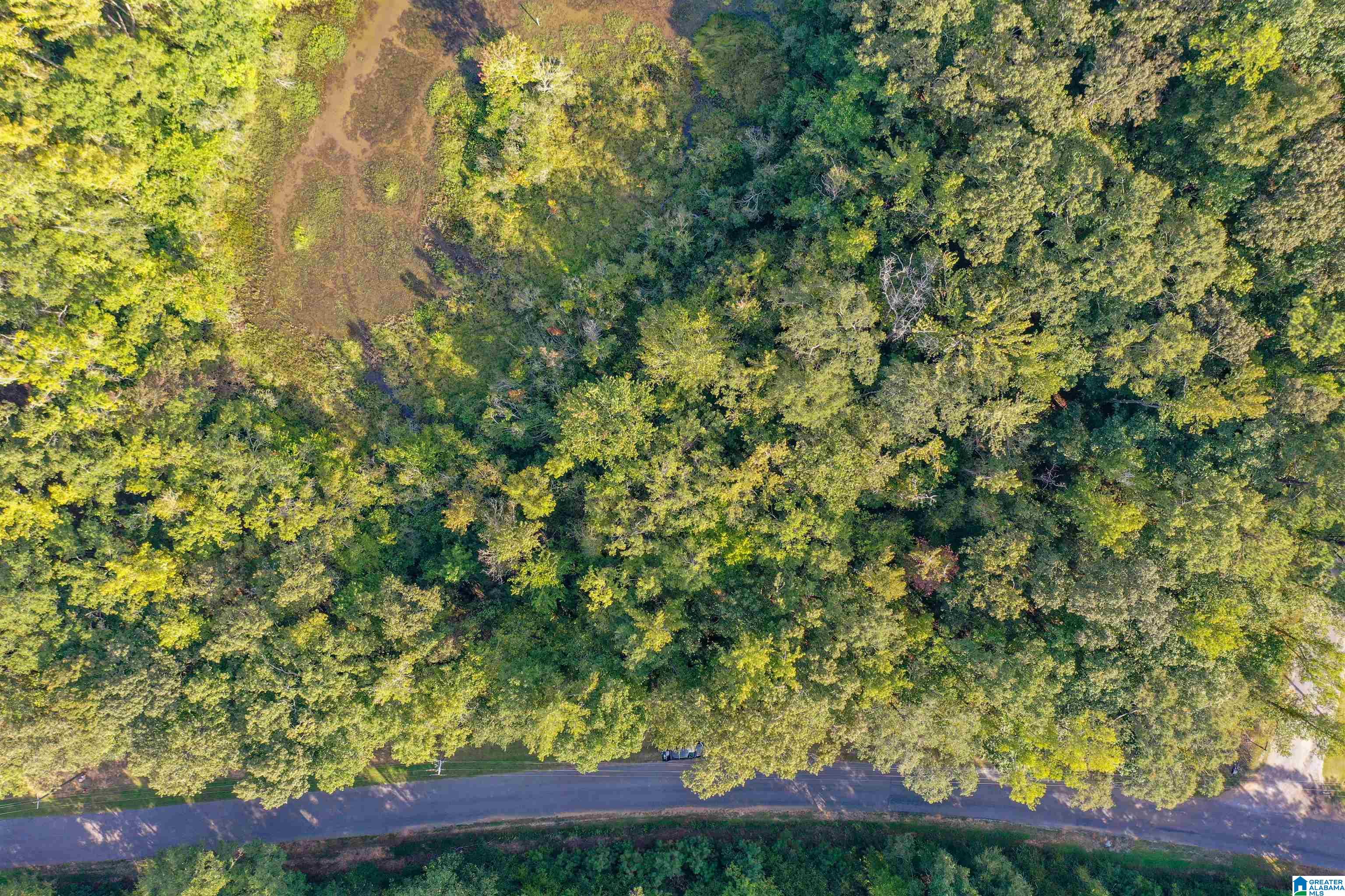 Land in SYLACAUGA 4