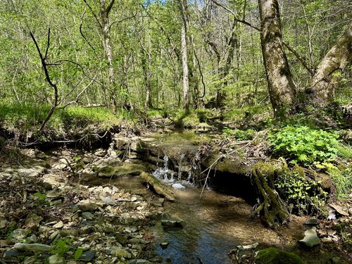 0 Ponder Rd, Smithville, TN, 37166 | Card Image