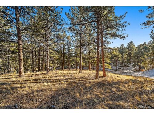 0 Fish Pond Way, Pine, CO, 80470 | Card Image